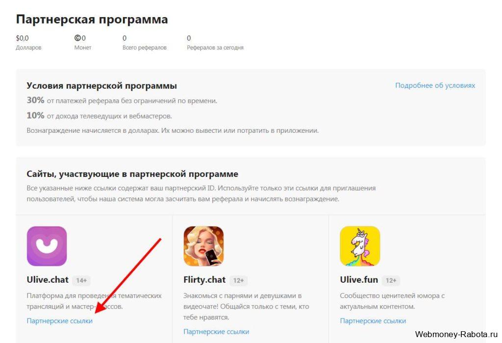 партнерская программа видео чатов