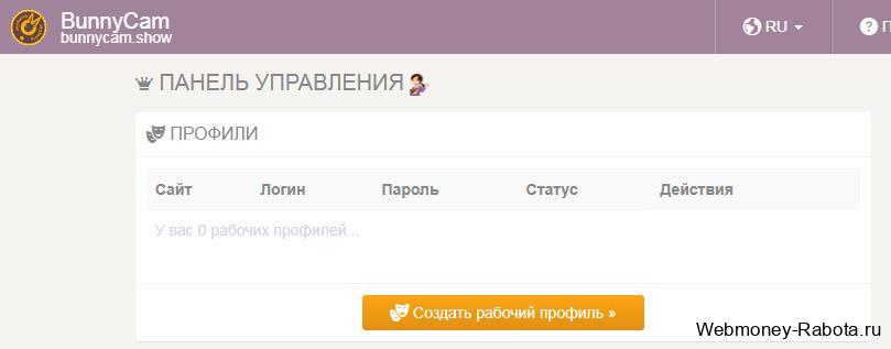 панель управления Bunnycam show